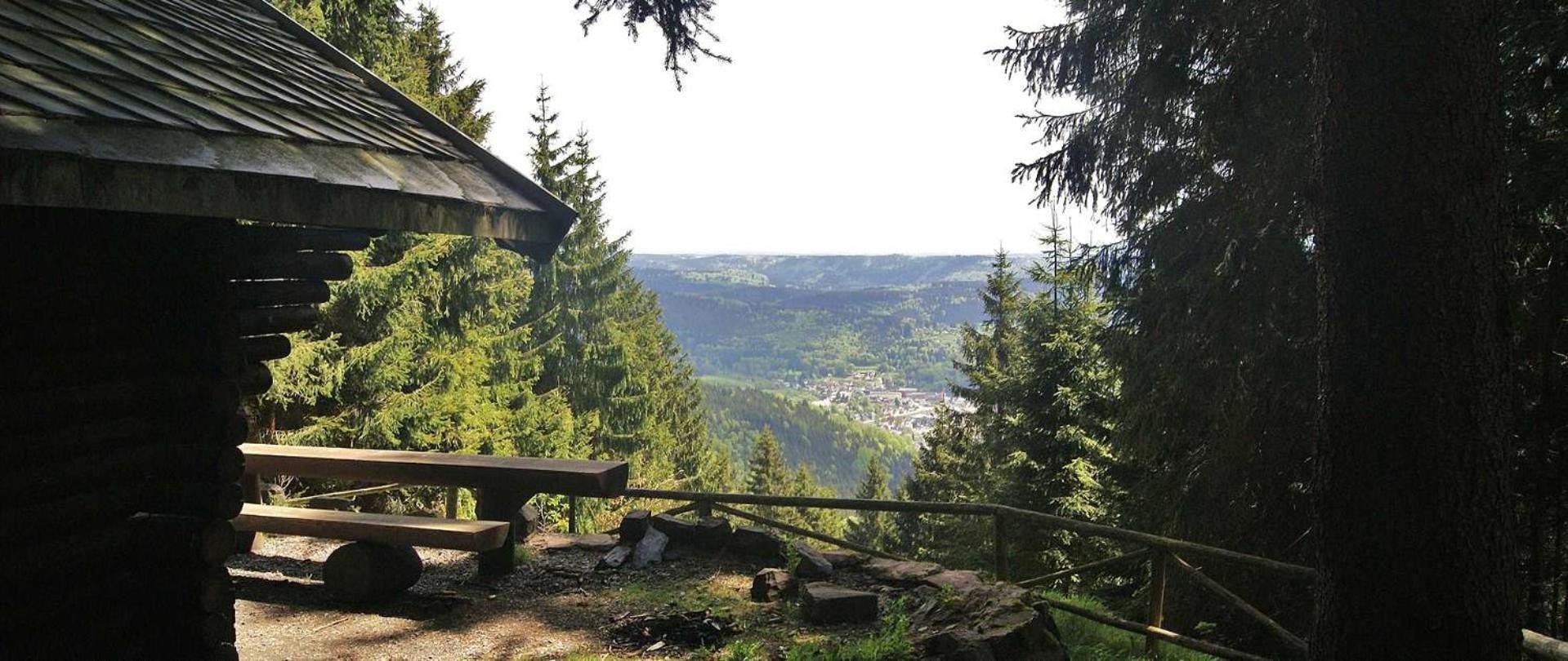 Ferienwohnung Klaus Steinach  Buitenkant foto